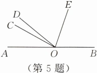 第5题