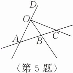 第5题