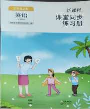 新课程课堂同步练习册三年级英语外研版