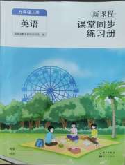 新课程课堂同步练习册九年级英语人教版