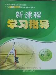 新课程学习指导七年级数学华师大版