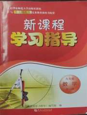 新课程学习指导九年级数学华师大版