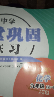 课堂巩固练习九年级化学人教版