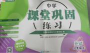 课堂巩固练习八年级英语仁爱版