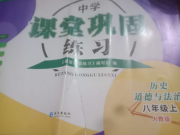 课堂巩固练习八年级历史道德与法治人教版