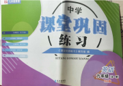 课堂巩固练习九年级英语仁爱版
