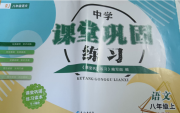 课堂巩固练习八年级语文人教版