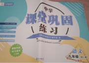课堂巩固练习九年级语文人教版