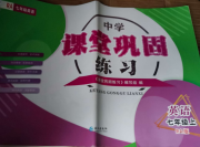 课堂巩固练习七年级英语仁爱版