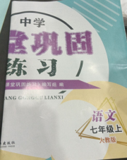 课堂巩固练习七年级语文人教版