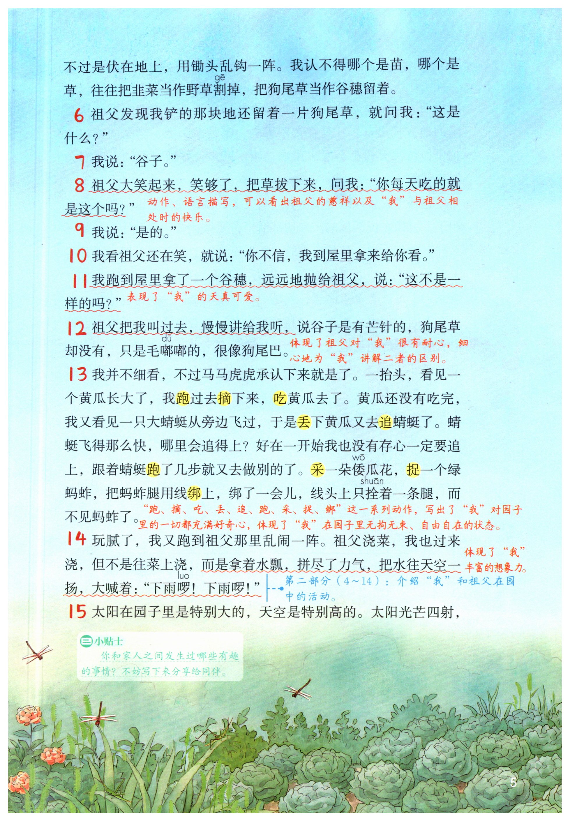 第5页