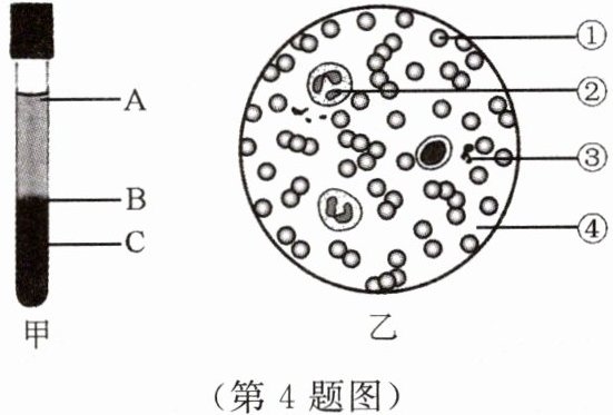 第4题图