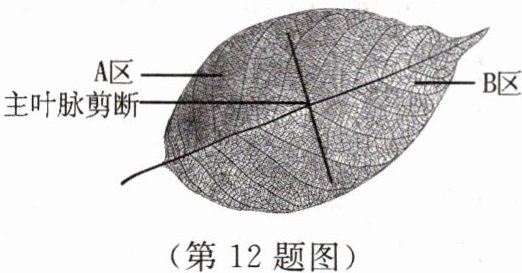 第12题图