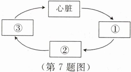 第7题图