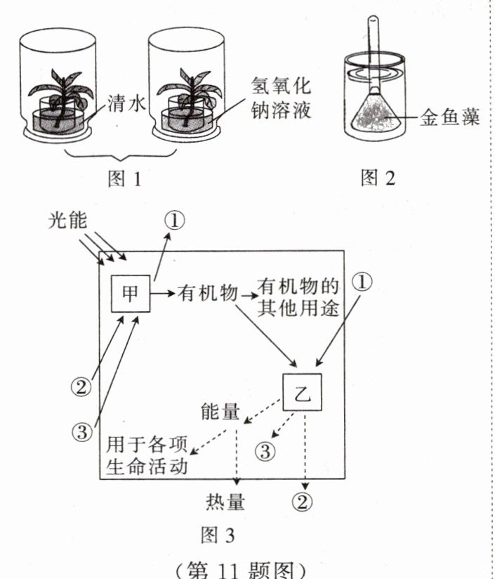 第11题图