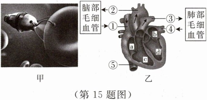 第15题图