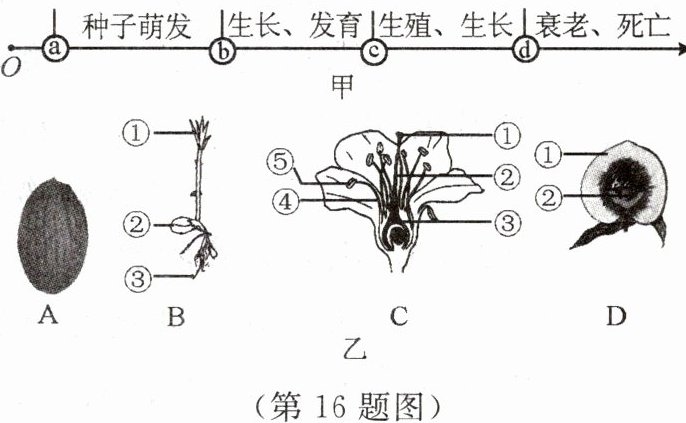 第16题图