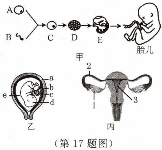 第17题图