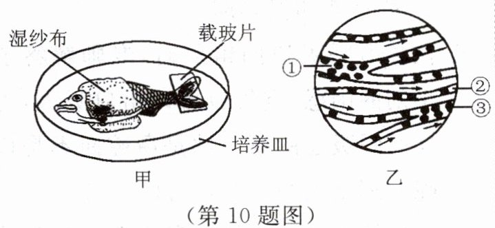 第10题图