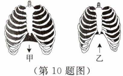 第10题图