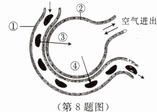 第8题图