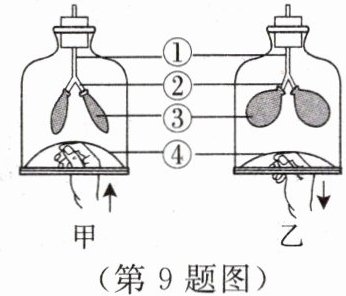 第9题图
