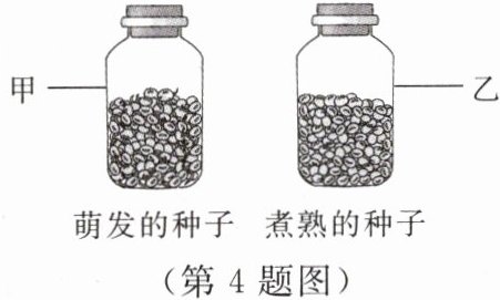 第4题图