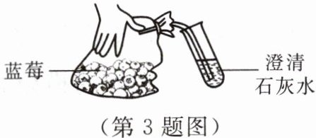 第3题图