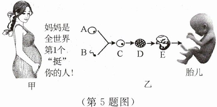 第5题图