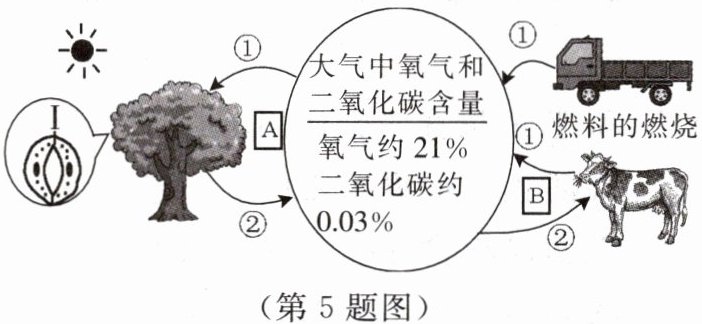 第5题图