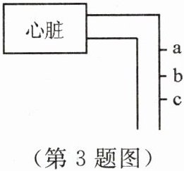 第3题图