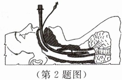 第2题图
