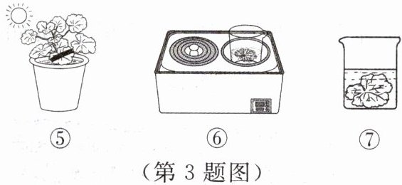 第3题图