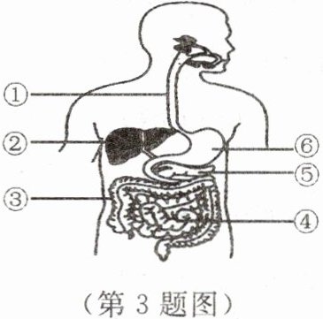 第3题图