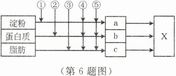 第6题图