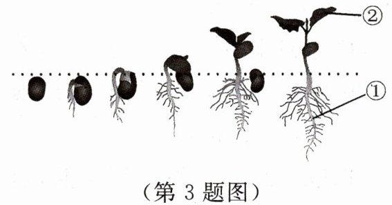 第3题图