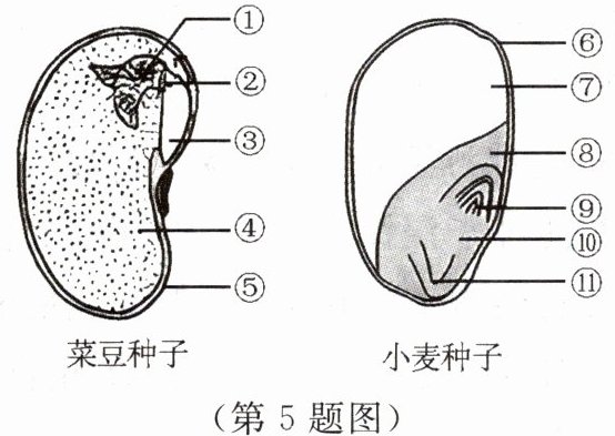 第5题图
