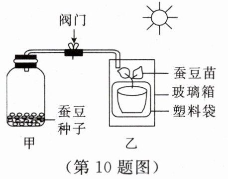 第10题图
