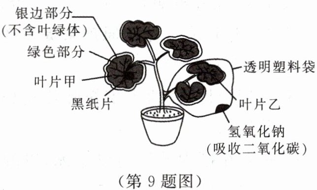 第9题图