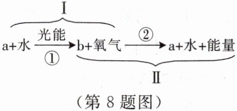 第8题图