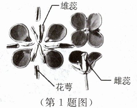 第1题图