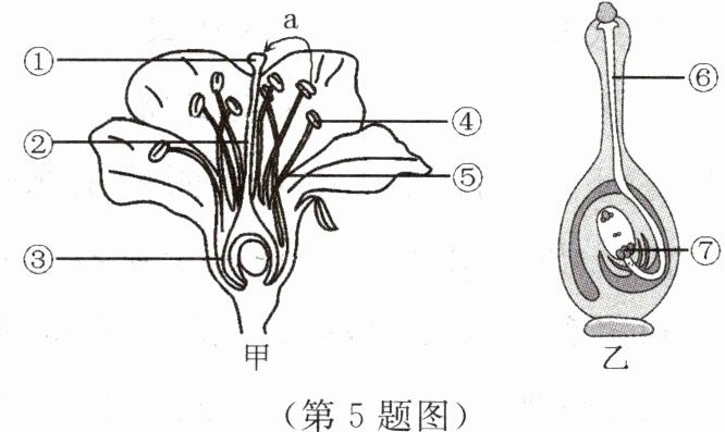 第5题图