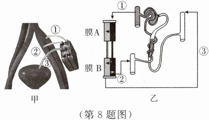 第8题图