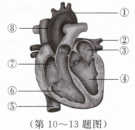 第1013题图