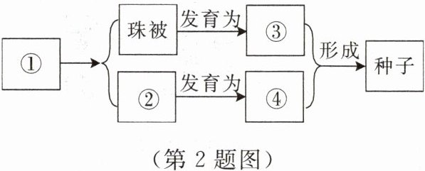 第2题图