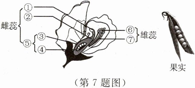 第7题图