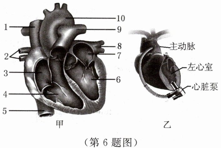第6题图