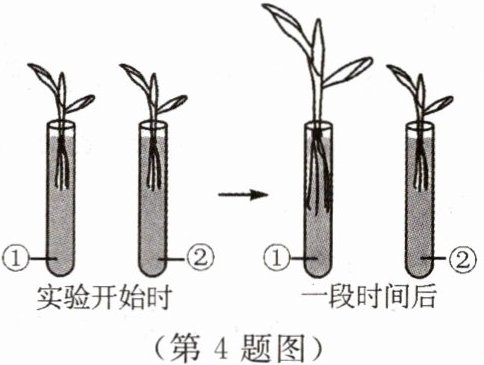 第4题图