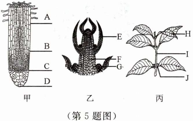 第5题图
