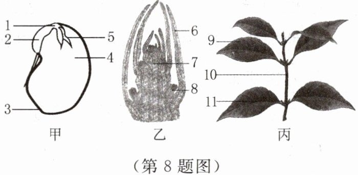 第8题图